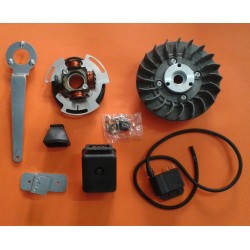 KIT ELECTRONICO CASA LAMBRETTA GP/DL