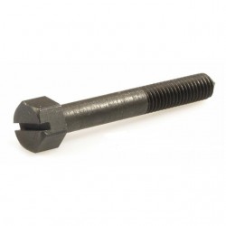 TORNILLO TAPA CARBURADOR DS/DN/IRIS