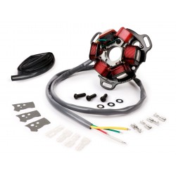 STATOR ELECTRONICO BGM 120W. AC