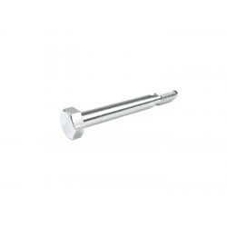 TORNILLO TAPA RUEDA REPUESTO PX/IRIS