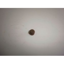 Tetoncillo de empuje del embrague.