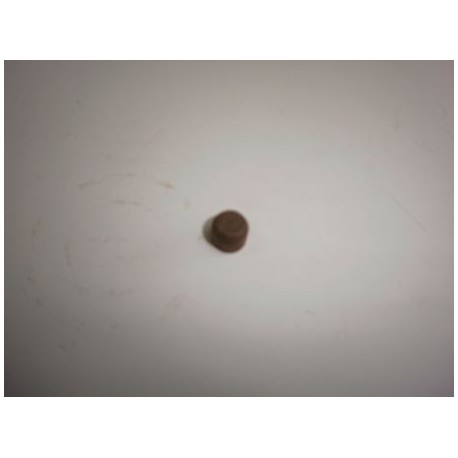 Tetoncillo de empuje del embrague.