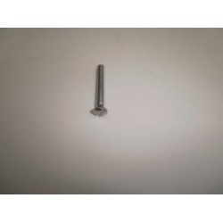 Tornillo tapa de manillar S2.