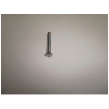 Tornillo tapa de manillar S2.