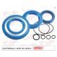 RETENES MOTOR (AZULES) PX/TX (RETEN 30)