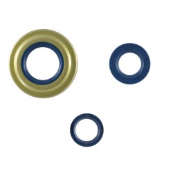 RETENES MOTOR (AZULES) DS/DN (RETEN TRAS. 27)
